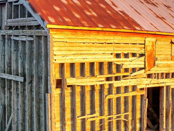 The Faded Cardinal — detail of weathering and structural character.