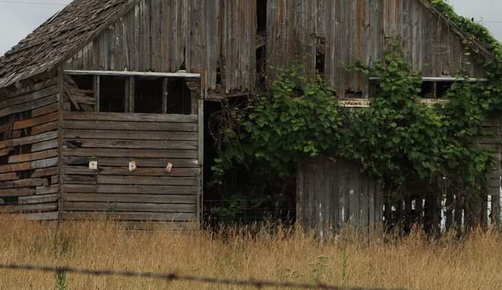 The Gray Dame — detail of weathering and structural character.