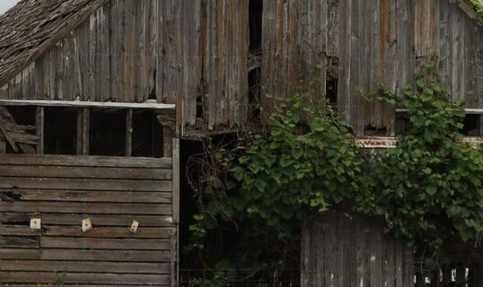 The Gray Dame — close study of surface and decline.
