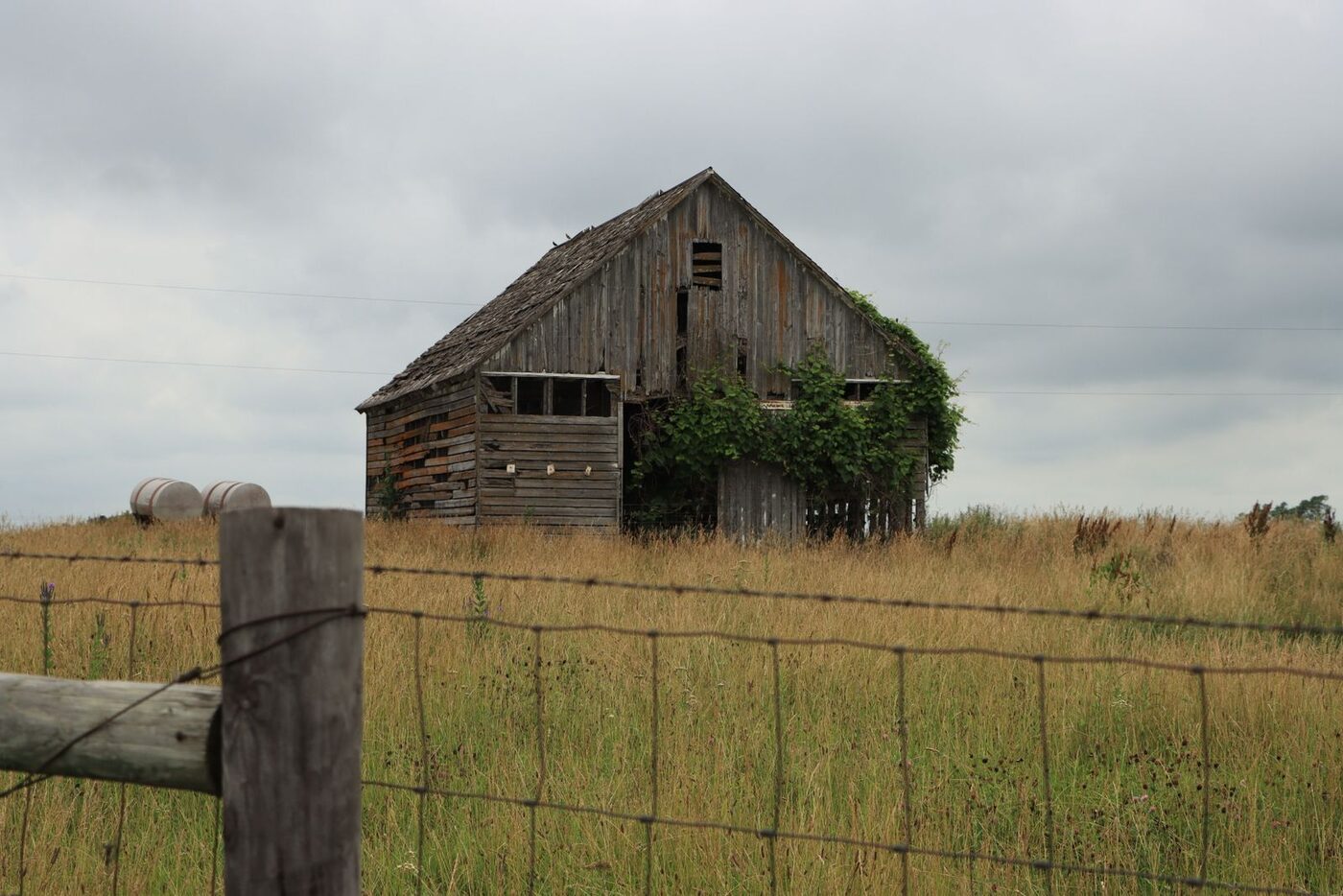 The Gray Dame, a heritage structure in managed decline, in open Northern Plains farmland.