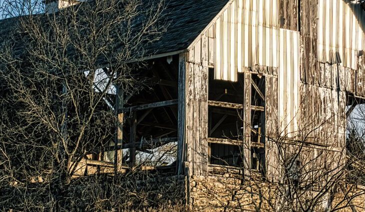 The Last Harvest — detail of weathering and structural character.